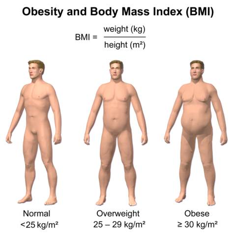 Normalgewicht und Übergewicht anhand vom BMI